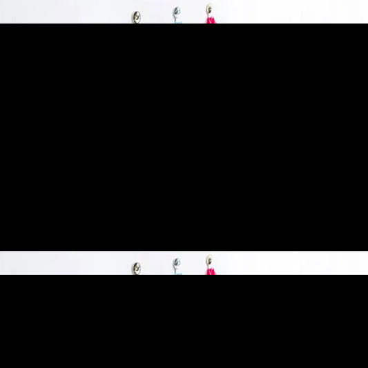 Versatile Hanging Shopper Dispenser Holder and Bag Organizer