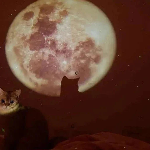 Twilight Moon Light Mini Projector